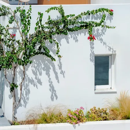Apartment Eutixia House *